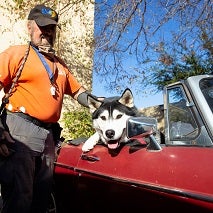 Black and white husky sitting in red convertible with man in orange shirt standing beside