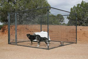 dog in free standing fencing