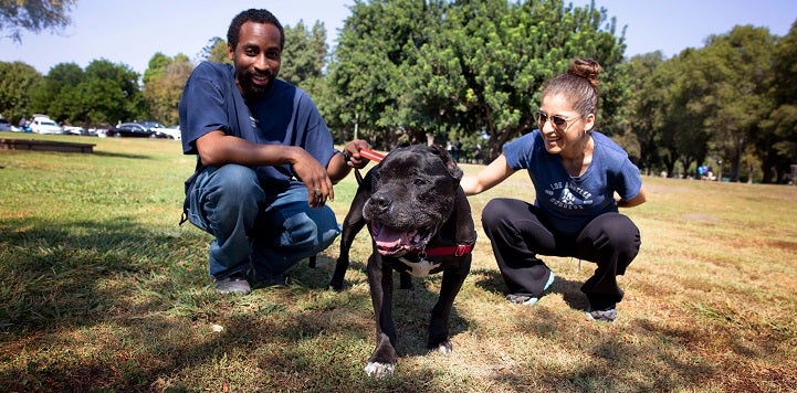Couple in blue shirts squatting in grass with black pit bull type dog between them