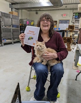 Woman sitting down holding orange cat