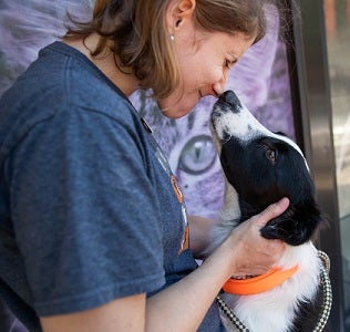 Woman's face being sniffed by black and white dog