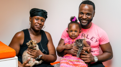 Man, woman, and little girl with two kittens