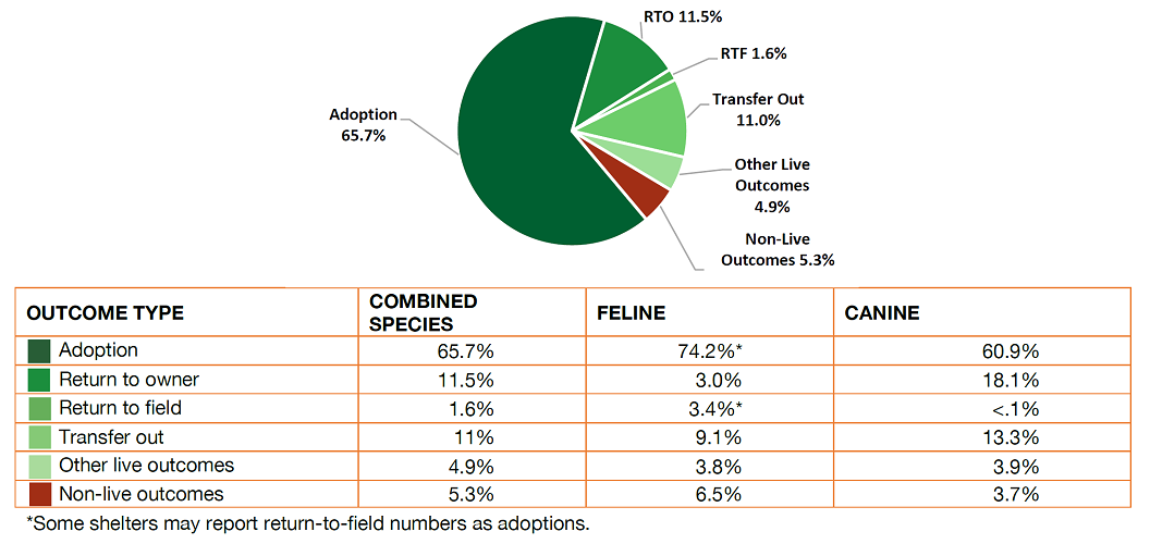 Positive Outcome Study Pie Chart and Table