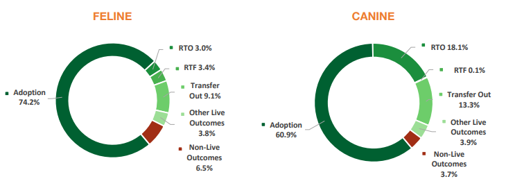 Positive Outcome Study Feline and Canine Ring Chart