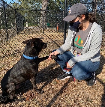 Staff member sitting with dog