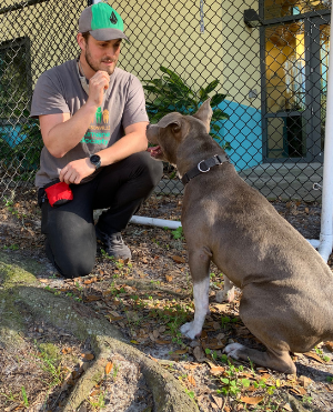 Dog sitting for treat with man