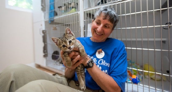 Woman holding a kitten in front of cages