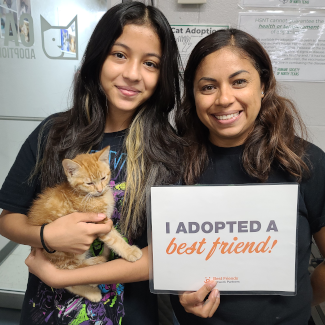 a family with their newly adopted fuzzy orange kitten