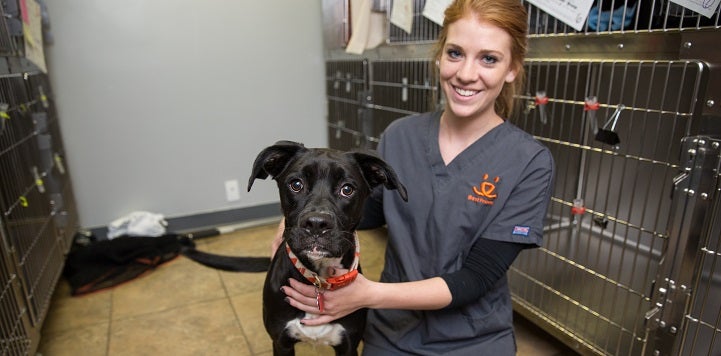 Woman in gray scrubs kneeling with black and white dog in front of kennels