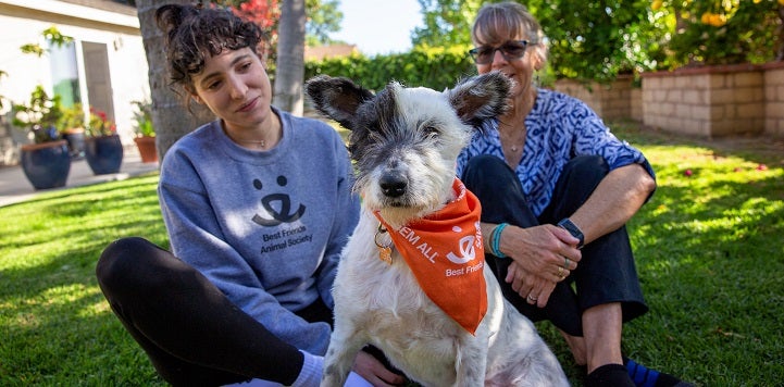 Black and white dog wearing orange bandana sitting in grass between two women