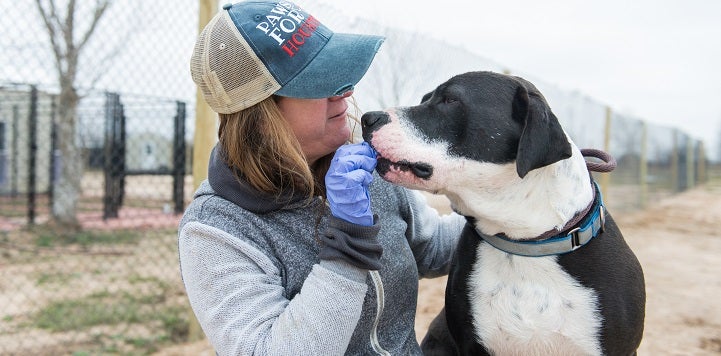 Woman in baseball cap feeding black and white dog a treat