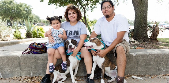 Couple and little girl sitting with two dogs