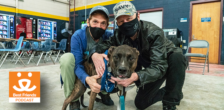 dog with members of the military