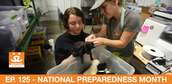 Two people care for a small puppy rescued during the response to Hurricane Harvey