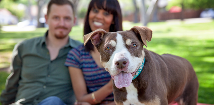 couple with dog