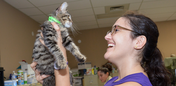 woman holding a kitten