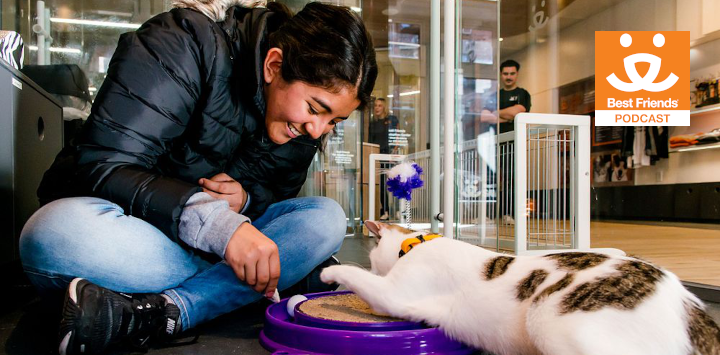 lady plays with a cat